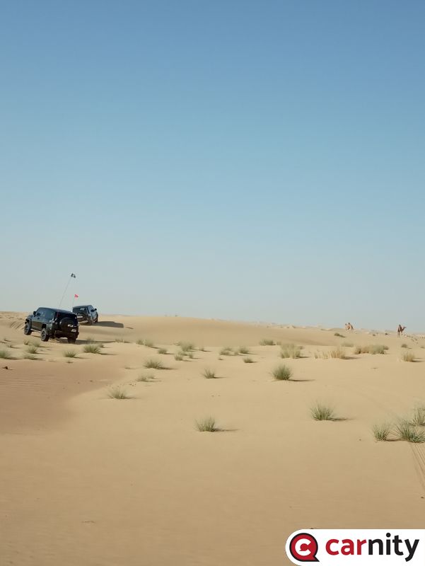 IMG_20201122_173812.jpg