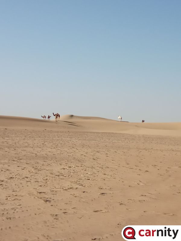 IMG_20201122_174004.jpg