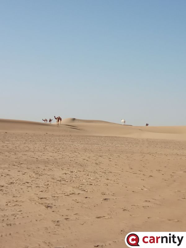 IMG_20201122_174004.jpg