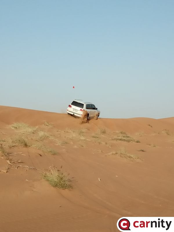 IMG_20201123_063648.jpg