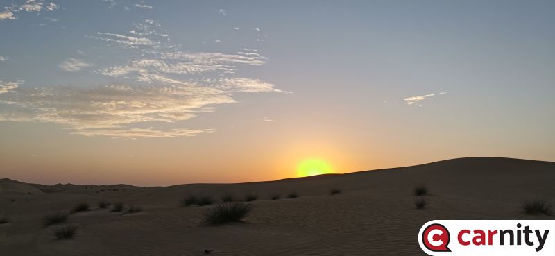 IMG_20201128_065231.jpg