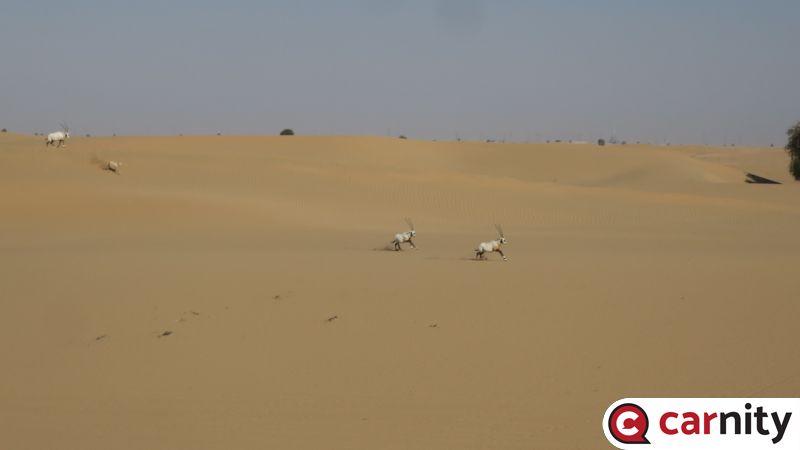 IMG_5331_Easy-Resize.com.jpg