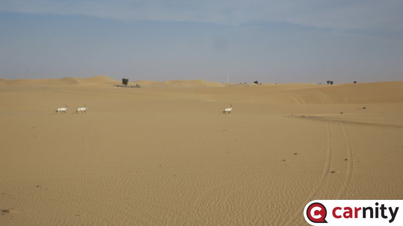 IMG_5334_Easy-Resize.com.jpg