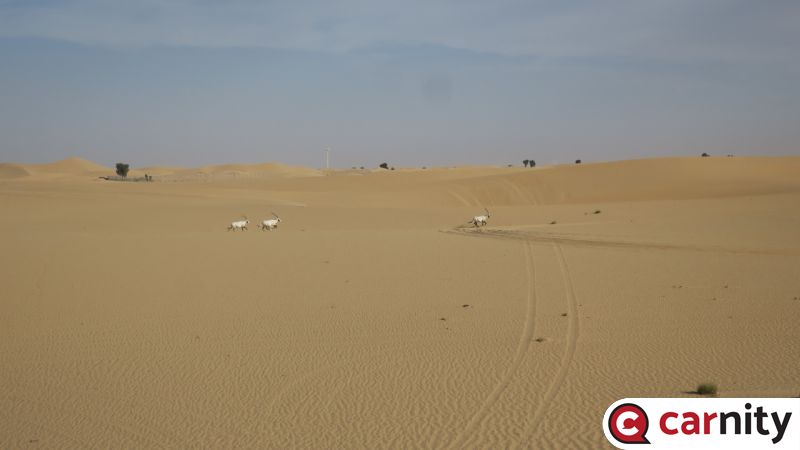 IMG_5335_Easy-Resize.com.jpg