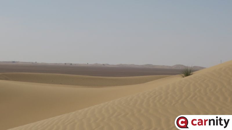 IMG_5345_Easy-Resize.com.jpg