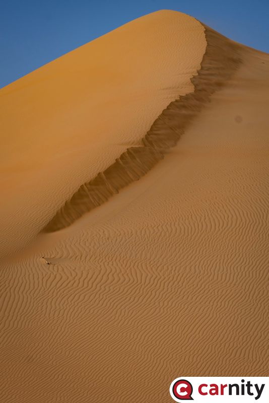 LRZ_2124.jpg