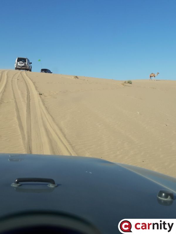 20210109_102350_Easy-Resize.com.jpg
