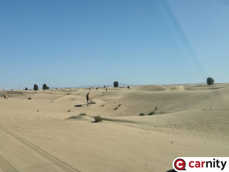 20210109_110935_Easy-Resize.com.jpg