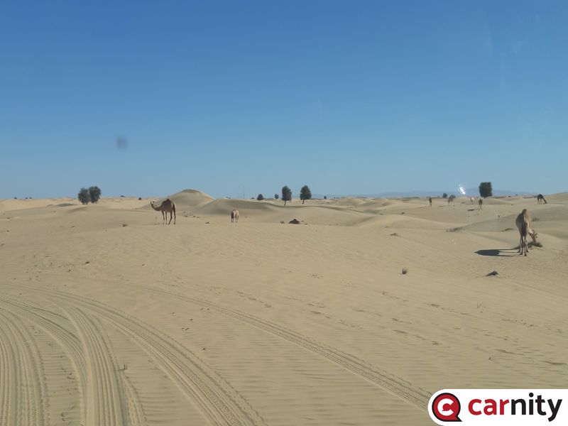 20210109_110937_Easy-Resize.com.jpg