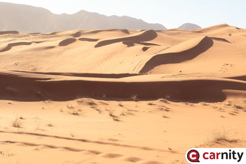 14. Faya Dunes Patterns.JPG