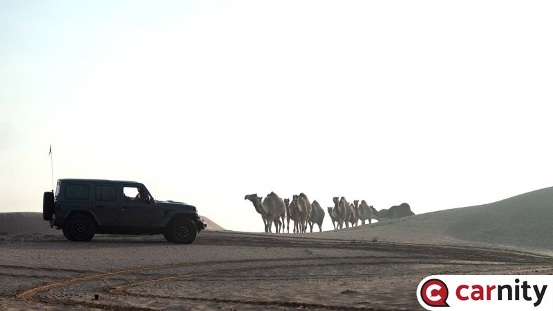 Giving way to a local convoy