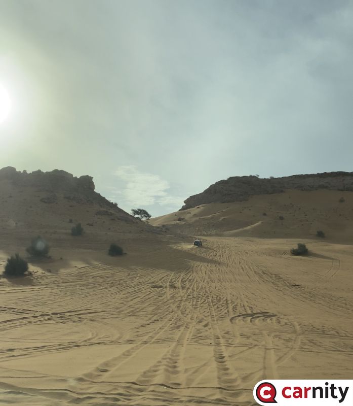 1B036E54-0F79-4F4D-B2C5-1CD061022B47.jpeg
