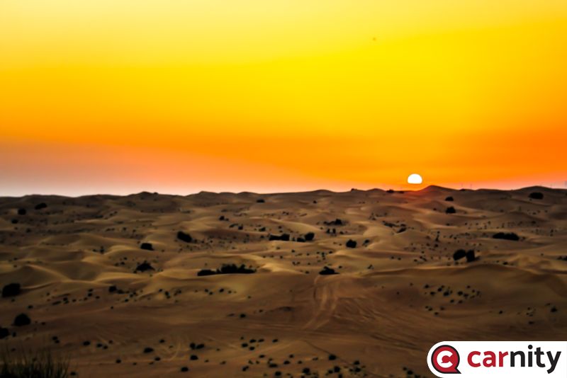 IMG_2916.jpg