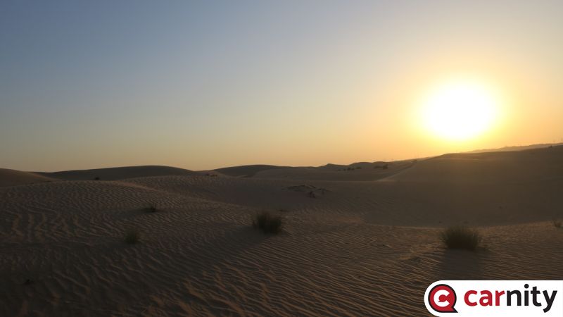 IMG_6024_Easy-Resize.com.jpg