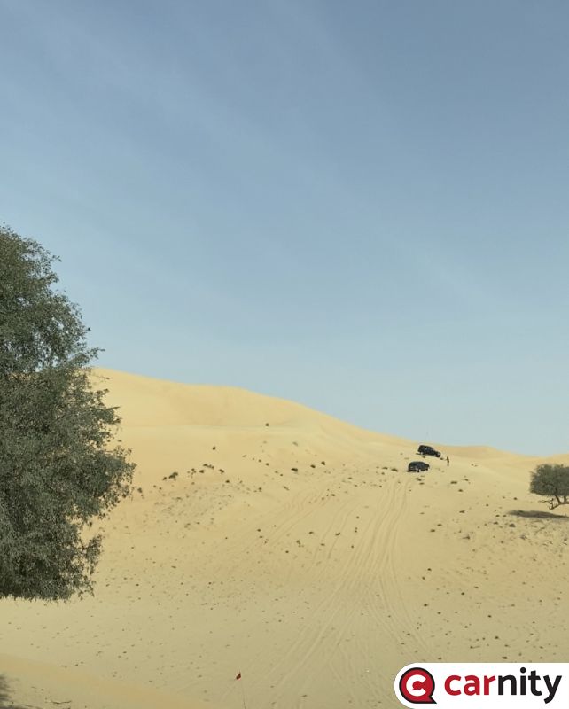 D18C7244-8F16-4866-A3D3-2327C1B6830A.jpeg