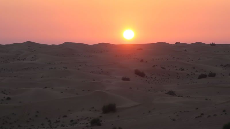 Carnity Desert Belles, Ladies Afternoon Desert drive - Al Qudra- 24 Apr 2021