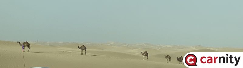 1B310AFA-A1B1-48F0-8022-D946F92EC309.jpeg