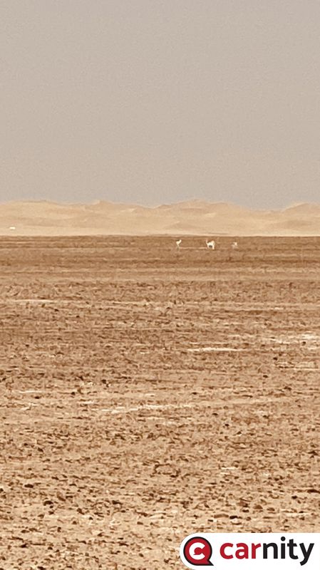 8703A2D0-ECA9-4C27-9310-85E279514070.jpeg