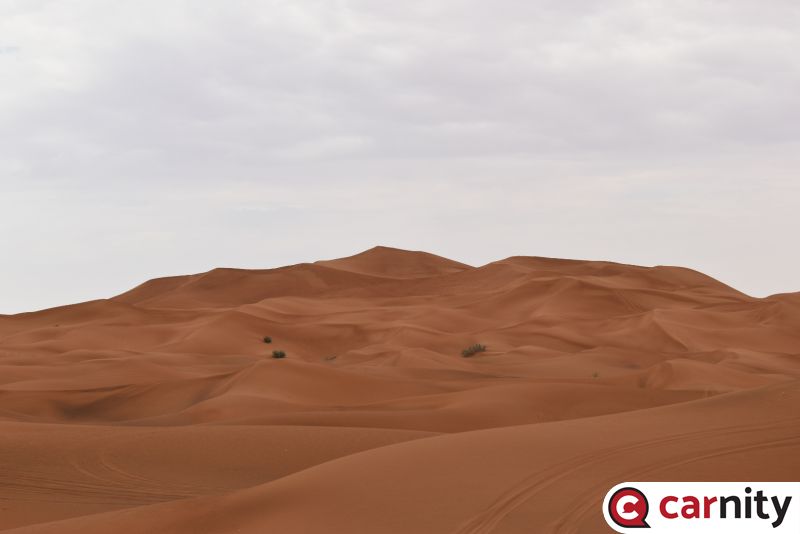 DSC_1401_1.JPG