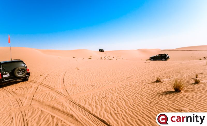 IMG_3103.jpg
