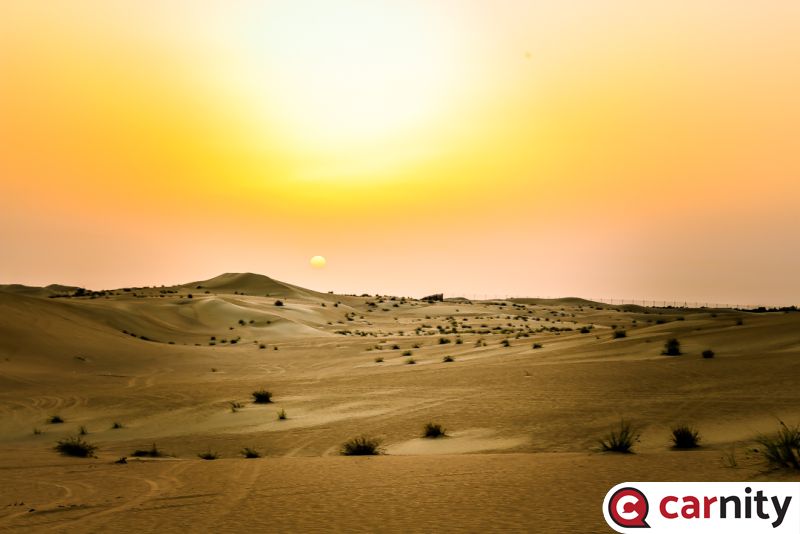 Newbie - Qudra - Dubai - 12 Apr 2021