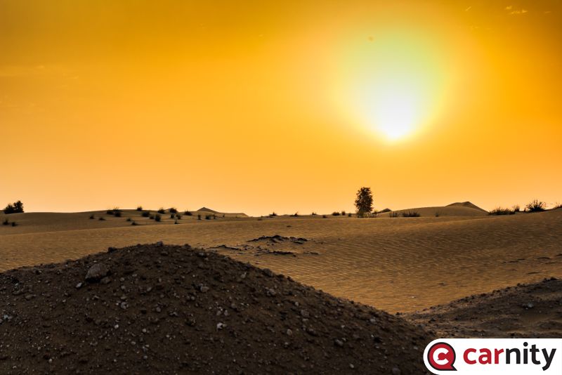 Fewbie - Al Qudra South - Dubai - 16 Apr 2021