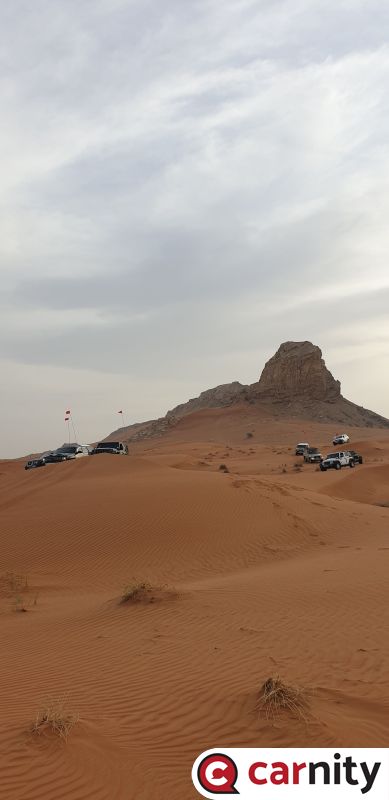 20210507_064205.jpg