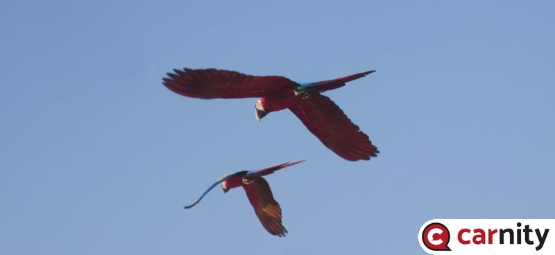 IMG_7390~2.jpg