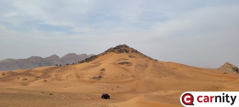 DA7C3139-DB87-4916-92E3-1A64835E6616.jpeg