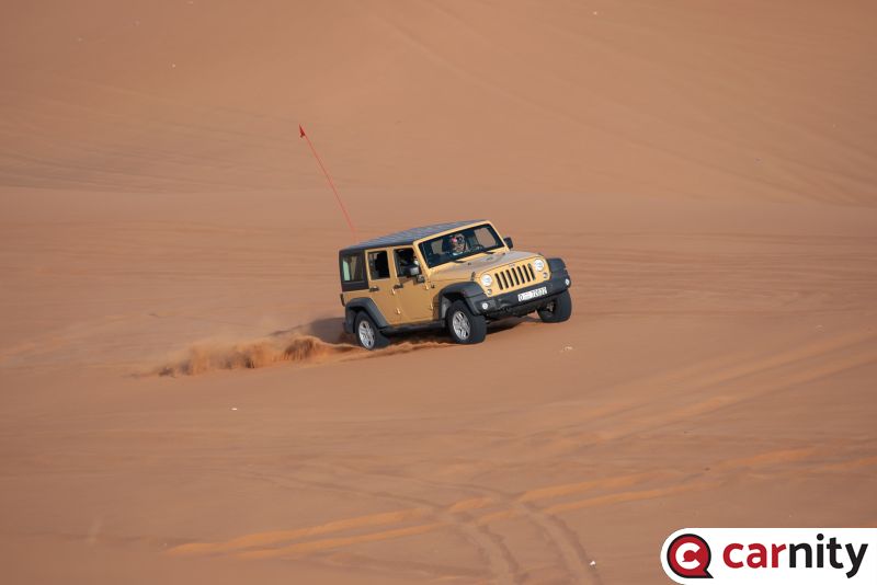 DSC_0238.jpg