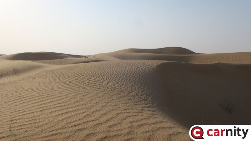 IMG_7022_Easy-Resize.com.jpg