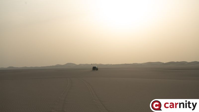 _85D1363 copy.jpg