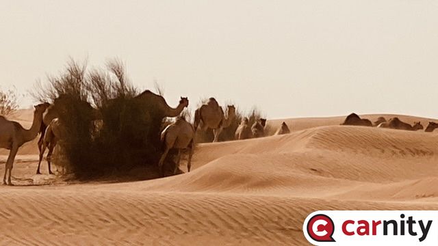 A5854912-5E98-47F1-8F60-0DF0302E99D6.jpeg