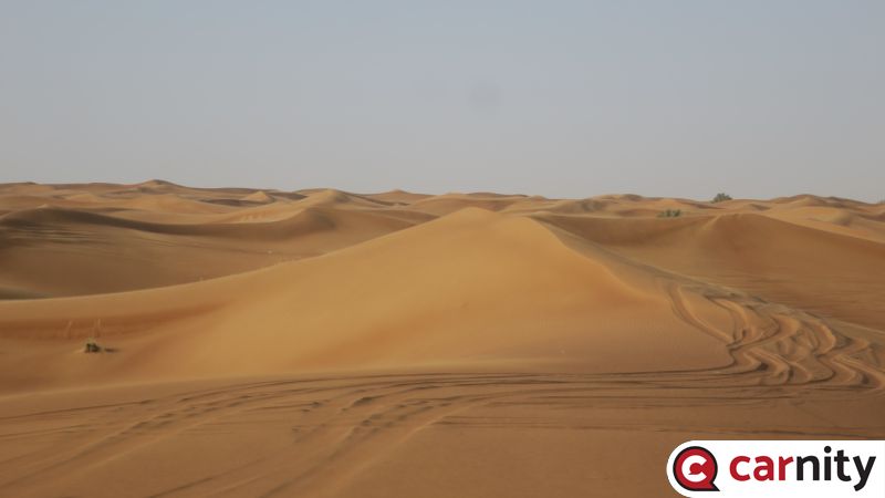 IMG_7936_Easy-Resize.com.jpg