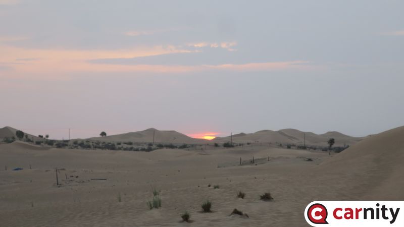 IMG_7993_Easy-Resize.com.jpg