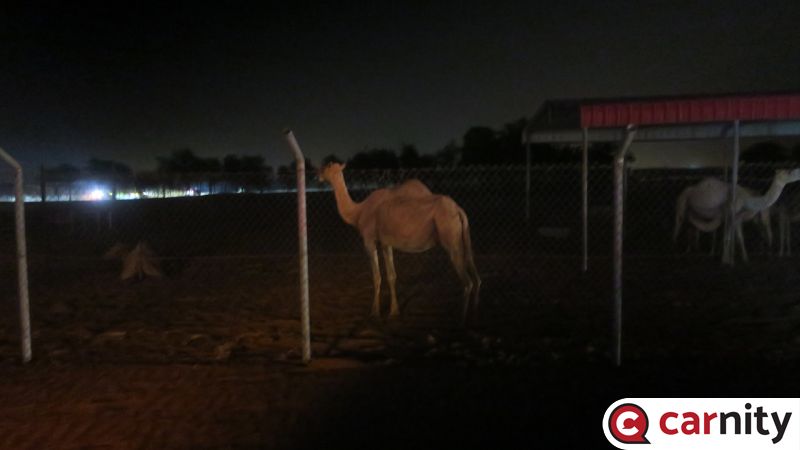 IMG_8216_Easy-Resize.com.jpg