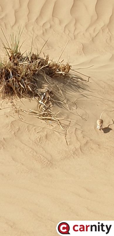 20210821_154017.jpg