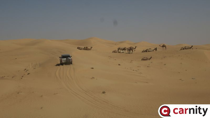 IMG_8434_Easy-Resize.com.jpg