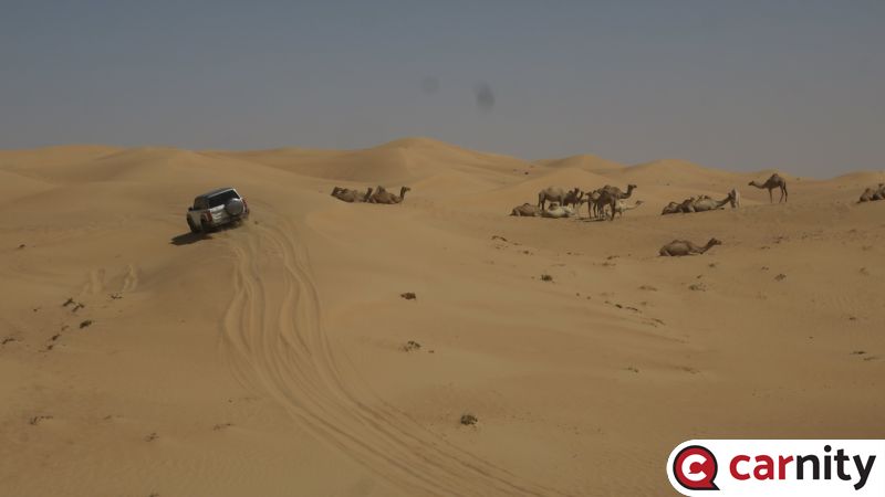 IMG_8435_Easy-Resize.com.jpg