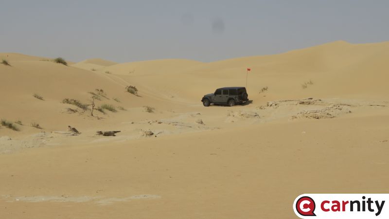IMG_8937_Easy-Resize.com.jpg