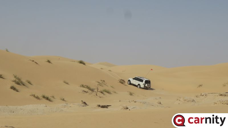 IMG_8940_Easy-Resize.com.jpg