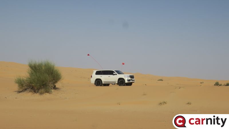 IMG_0040_Easy-Resize.com.jpg