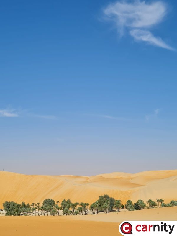 IMG-20211203-WA0037