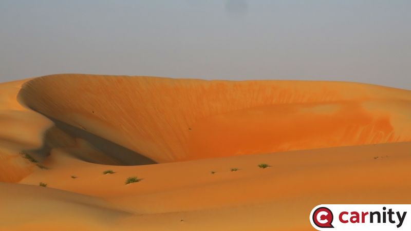 IMG_0791_Easy-Resize.com.jpg