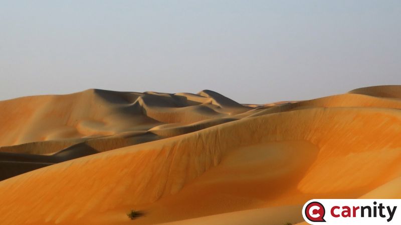 IMG_0798_Easy-Resize.com.jpg