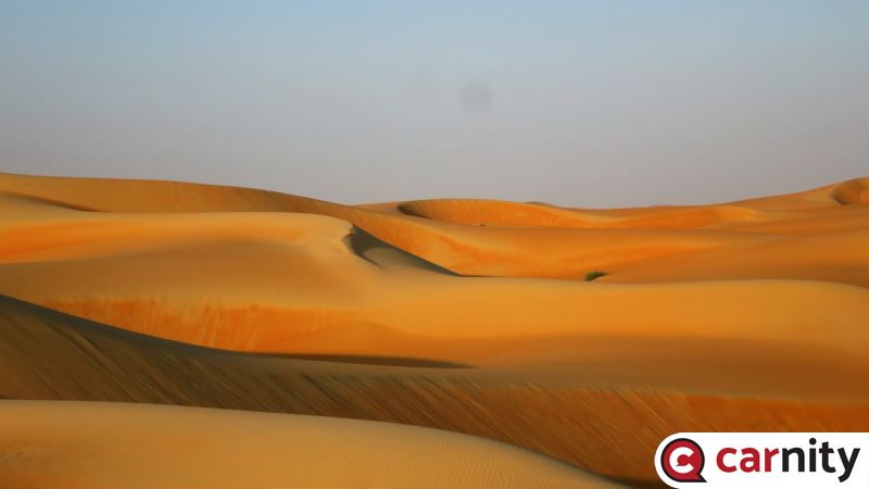 IMG_0805_Easy-Resize.com.jpg