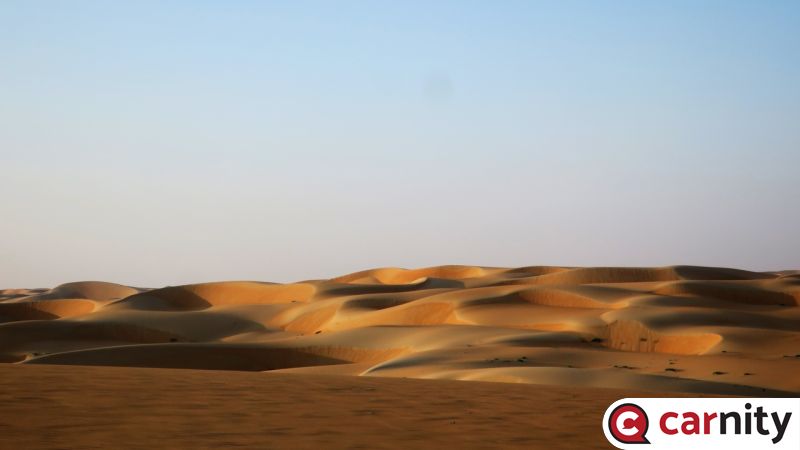 IMG_0808_Easy-Resize.com.jpg