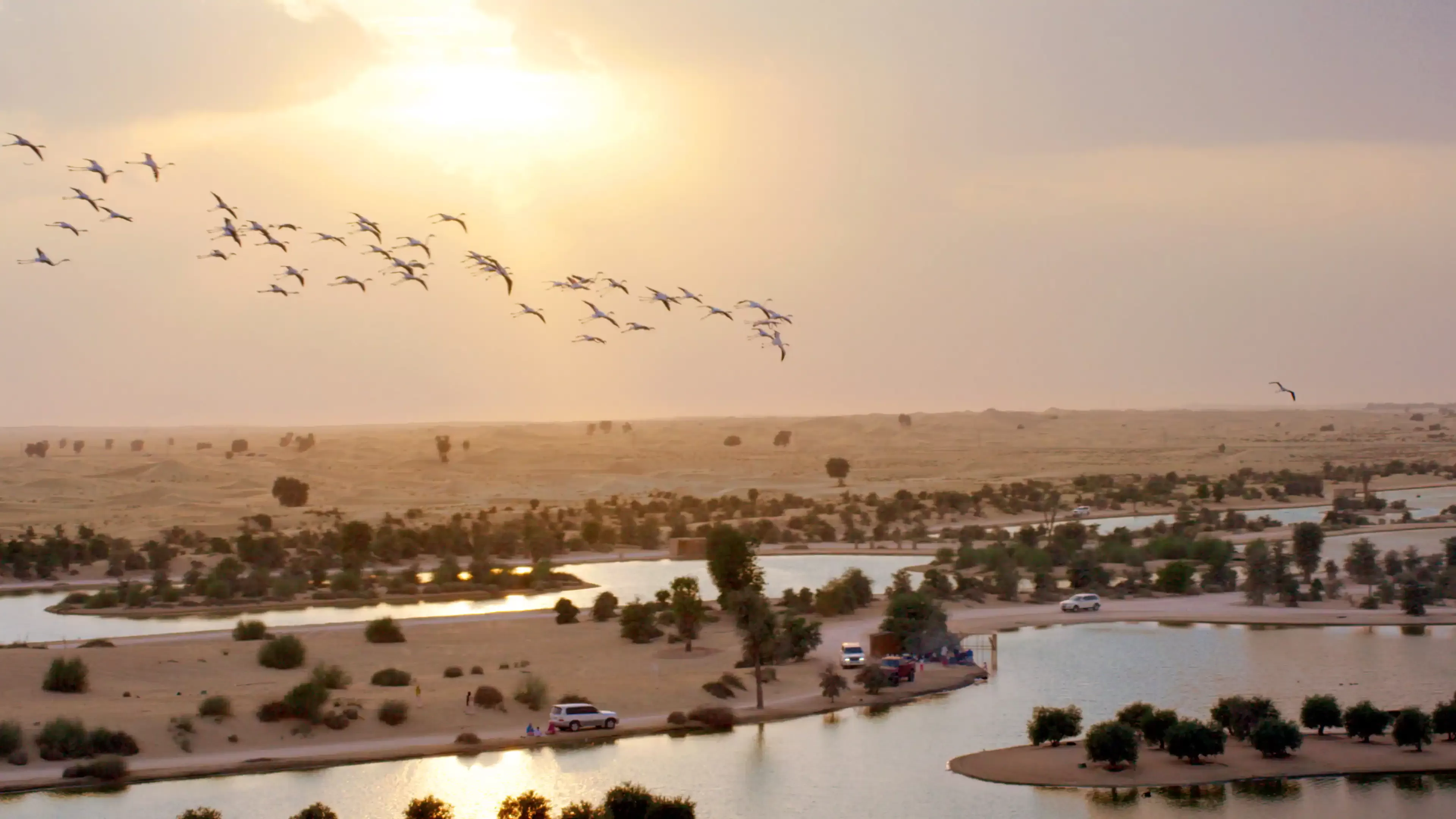 Morning Newbie Desert Drive - Qudra Lakes - Dubai - 5 Mar 2022