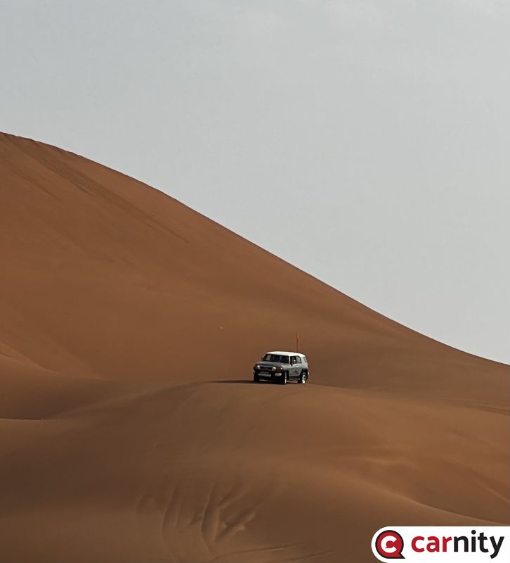 DB194195-A891-47E2-8B52-387A7250C971.jpeg