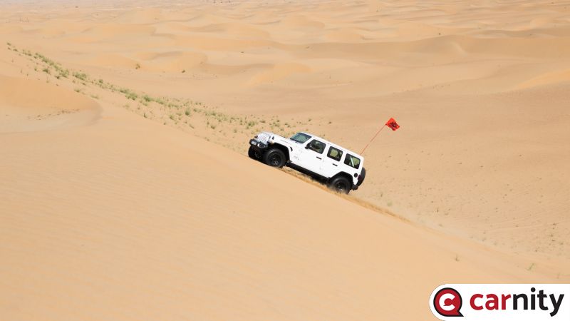 IMG_2142.jpg